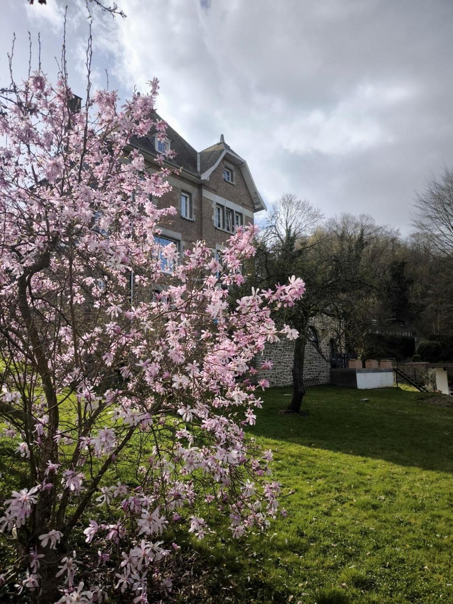 Ferienwohnung Le Castel Mosan Namur  Exterior foto